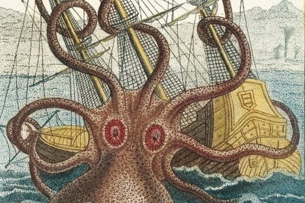 Kraken20 at