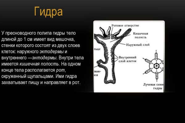 Кракена точка нет