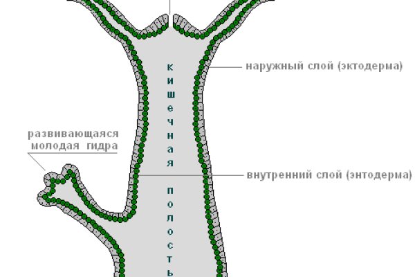 Ссылка на кракен в тор браузере